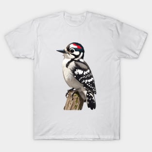 Downy Woodpecker Bird T-Shirt